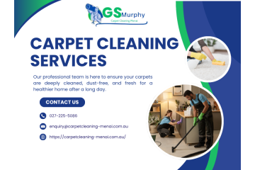 Trusted Carpet Cleaning Menai for Every Home