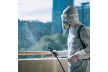 Pest Control Gurgaon – Safe & Affordable Services