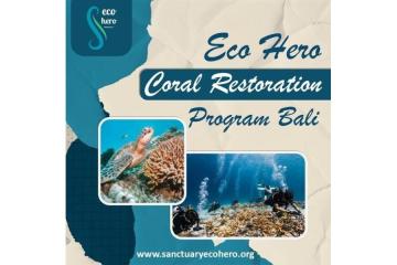 Eco Hero Coral Restoration Program Bali