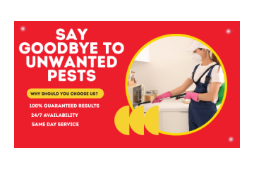Pest Control Sebastopol Experts You Can Trust
