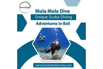 Mola Mola Dive – Unique Scuba Diving Adventures in Bali