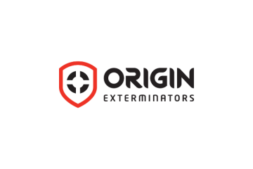 Professional Termite Treatment Services in Singapore