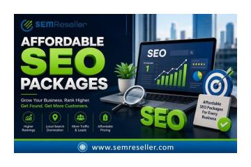 Affordable SEO Packages That Help Businesses Dominate Local Search