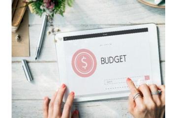Need a Professional Tool to Generate Paystub?
