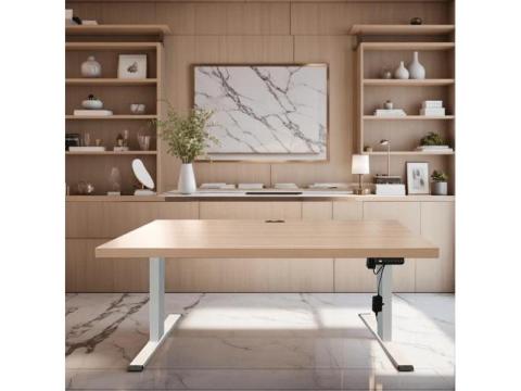 Upgrade Your Workspace With An Electric Standing Desk