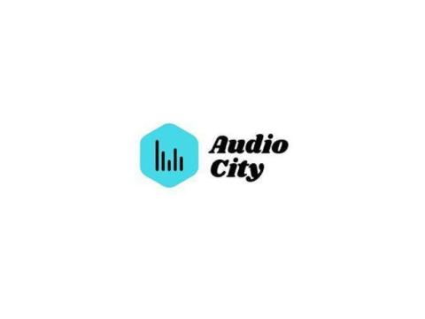 Professional Car Audio Installation Near Me 