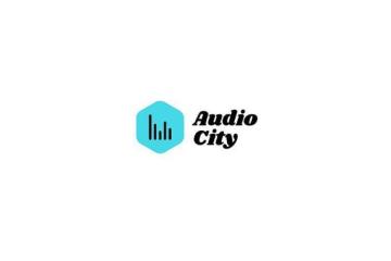 Professional Car Audio Installation Near Me 