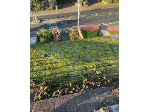 Roof Cleaning & Moss Removal in High Wycombe