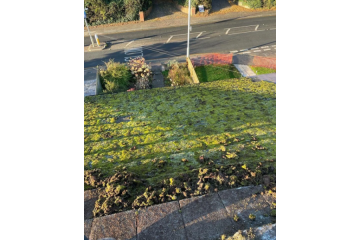 Roof Cleaning & Moss Removal in High Wycombe