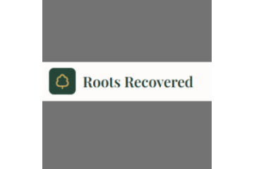 Irish Citizenship By Descent - Rootsrecovered