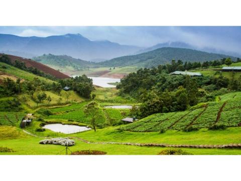 Kerala Tour Packages for Family: Create Memories That Last
