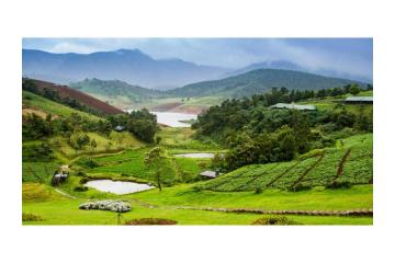 Kerala Tour Packages for Family: Create Memories That Last