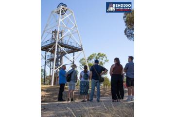 Bendigo Cellar Door Experience – Discover Local Wines and Stories