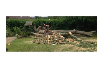 Tree Cutting Sydney - Ben's Tree and Garden Services