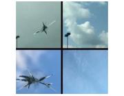 Windshield Chip and Crack Repair