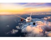 Southwest Airlines ATL Terminal +1-888-738-0817