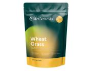 Organic Wheat Grass Powder – 200g & 450g