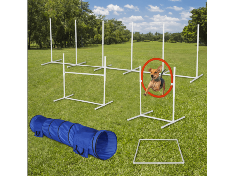 Dog Equipment Training for Reliable Obedience and Control | Hazard K9