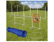 Dog Equipment Training for Reliable Obedience and Control | Hazard K9