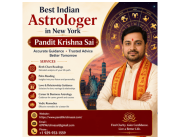 Best Indian Astrologer in New York | Pandit Krishna Sai