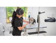 Premium Dog Grooming Spa Packages in USA | Professional Pet Grooming & Spa Care