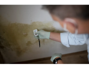 Mould Removal Melbourne