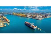Best Sea Freight in Dubai – AMEXPRO GLOBAL SHIPPING