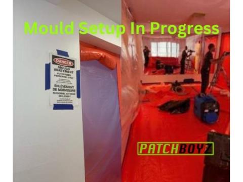 PatchBoyz Mold Removal - Asbestos & Restoration