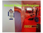 PatchBoyz Mold Removal - Asbestos & Restoration