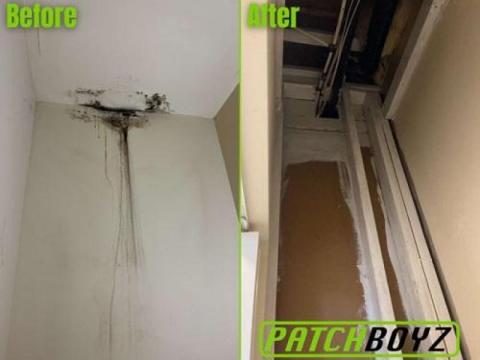 PatchBoyz Mold Removal - Asbestos & Restoration - 2/2
