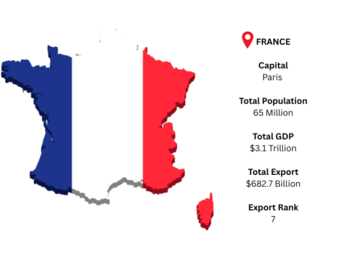 Unlock France Global Trade Opportunities with Import Globals