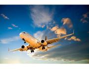 All Nippon Airways LAX Terminal +1-888-738-0817