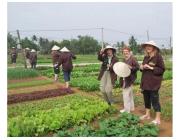 Vietnam Sustainable Discovery Journey
