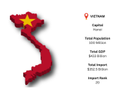Explore Vietnam Import Trade Trends with Import Globals