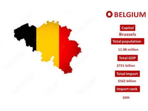 Access Belgium Trade Intelligence with Import Globals