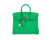 HERMES Birkin 25 Vert Comics Green Bag