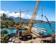 Certified Cranes in Hawaii for Safe and Precise Lifting Jobs - Arborist Services