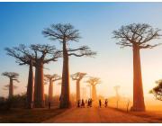 Madagascar Tourist e Visa