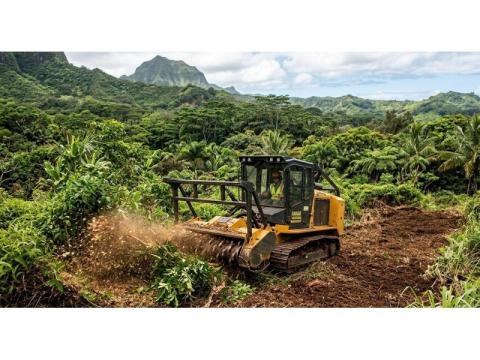 Professional Forest Mulching in Hilo Transforms Overgrown Land - Arborist Services