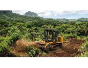 Professional Forest Mulching in Hilo Transforms Overgrown Land - Arborist Services