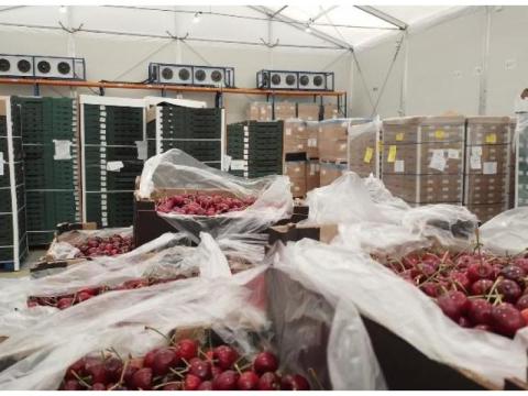 Why Businesses Rely on Flexible Cold Storage Facilities During Peak Demand?