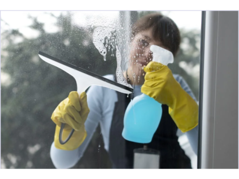 Window Cleaning Services
