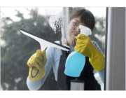 Window Cleaning Services
