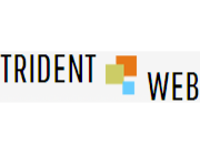 SEO Services Pune India at Trident Web Infoservices