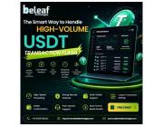 The Smart Way to Handle High-Volume USDT Transaction Flash