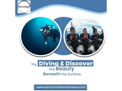 Try Diving and Discover the Beauty Beneath the Surface