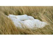 Organic Wool Pillows – Sustainable Sleep Starts Here