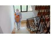 Anti Termite Treatment in Lajpat Nagar