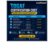 TOGAF Certification Cost Insights and Exam Support Guide