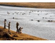 Zambia Tourist e-Visa